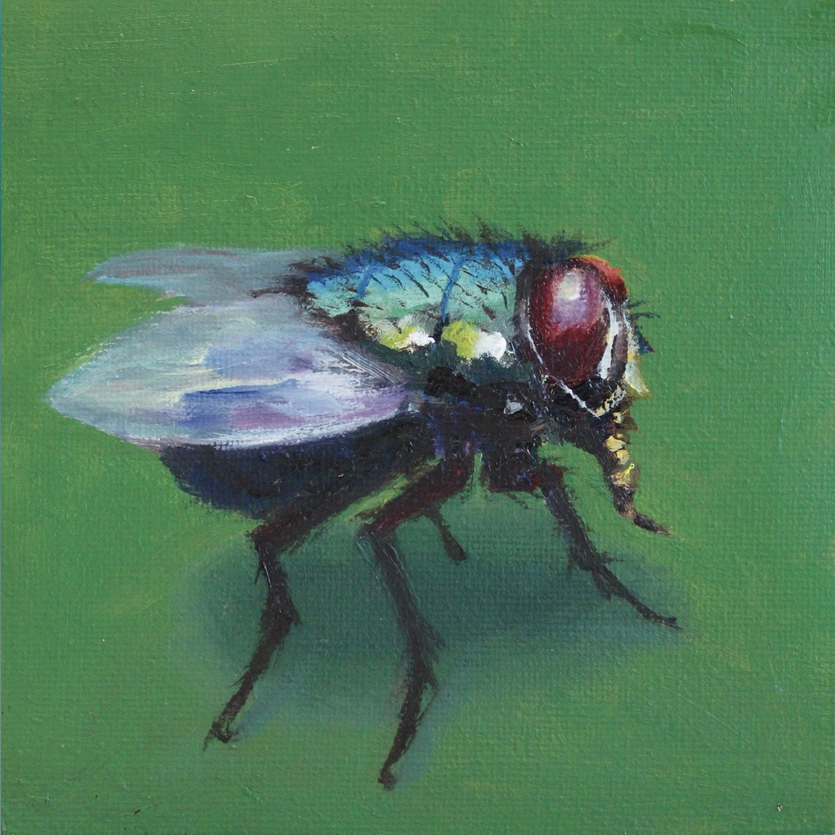 Fly Print