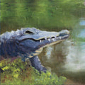 Alligator Print