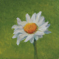 Daisy Print