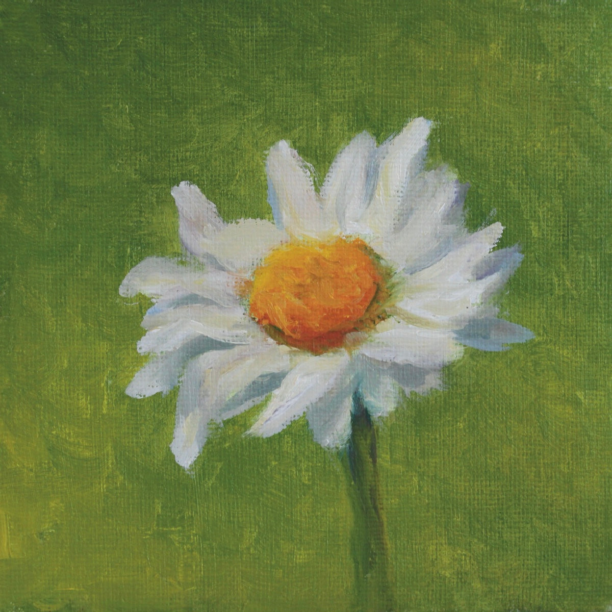 Daisy Print